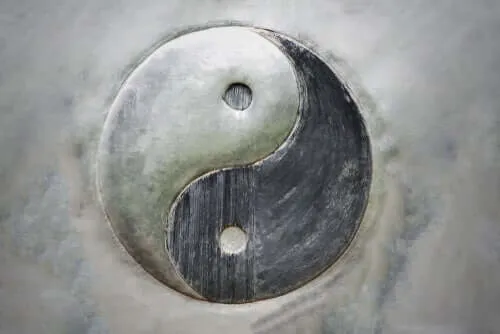 Jin a jang: koncept duality existencie