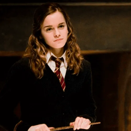 Hermiona Granger, feminizem v Harryju Potterju