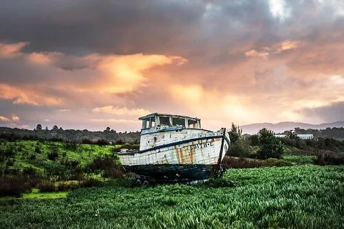 La paradoja del barco de Teseo