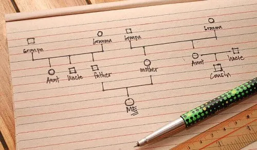 Come redigere un genogramma passo dopo passo