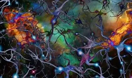 Acetilcarnitina e depressão, um elo importante