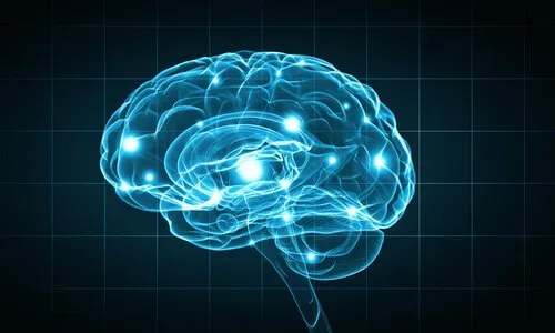Biopsychologia i metody badawcze